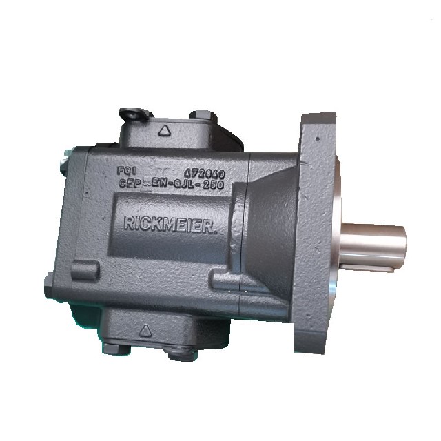 德國rickmeier 齒輪泵 R65/250 FL-Z-W-SAE3-R 330030-8